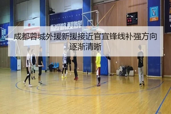成都蓉城外援新援接近官宣锋线补强方向逐渐清晰